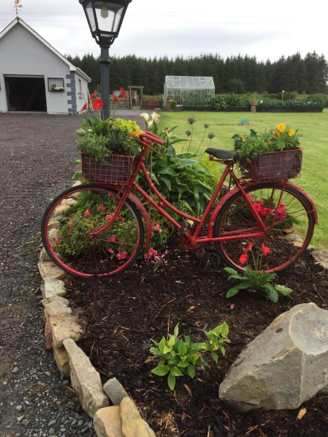 Lyntom House B&B Limerick Junction Buitenkant foto